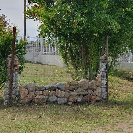 Litochoro Apartment In Estate A1 エクステリア 写真